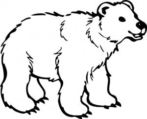 polar bear 